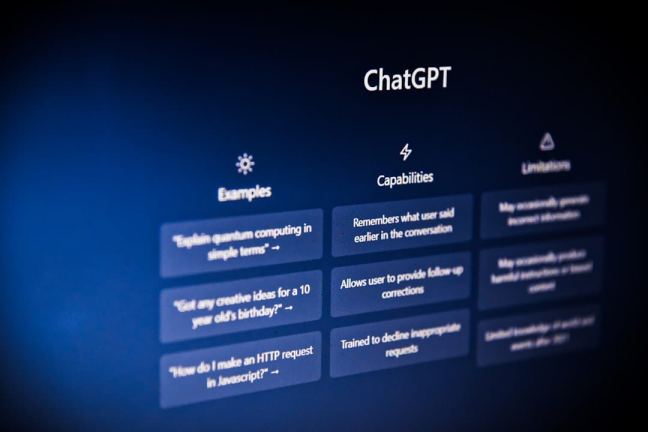 ChatGPT-gesprek over lokale hovenier in Groningen met kaartweergave